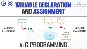 Variable Declaration and Assignment in C Programming | C Programming Tutorial