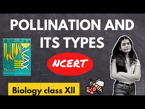 Pollination and it's types | Sexual reproduction in flowering plants|Biology class Xll