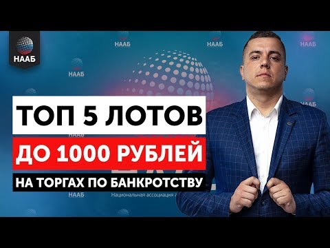 Топ 5 лотов до 1000 рублей на торгах по банкротству