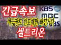 셀트리온 기회가 온다(재)