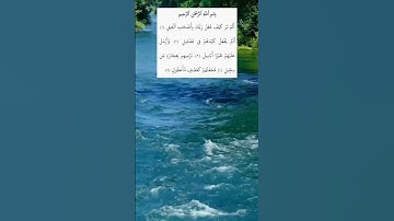 سورة الفيل #قرآن_كريم #alquran #اكسبلور #المصحف