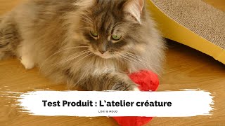 Test produit : jouets pour chats et tapis de fouille L’Atelier Créature  Loki & Mojo