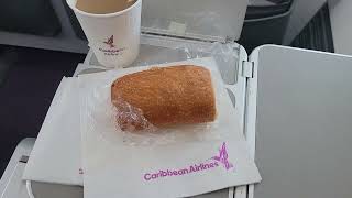 Caribbean Airlines BW521 JFK to POS, 9Y JAM B737 Max 8