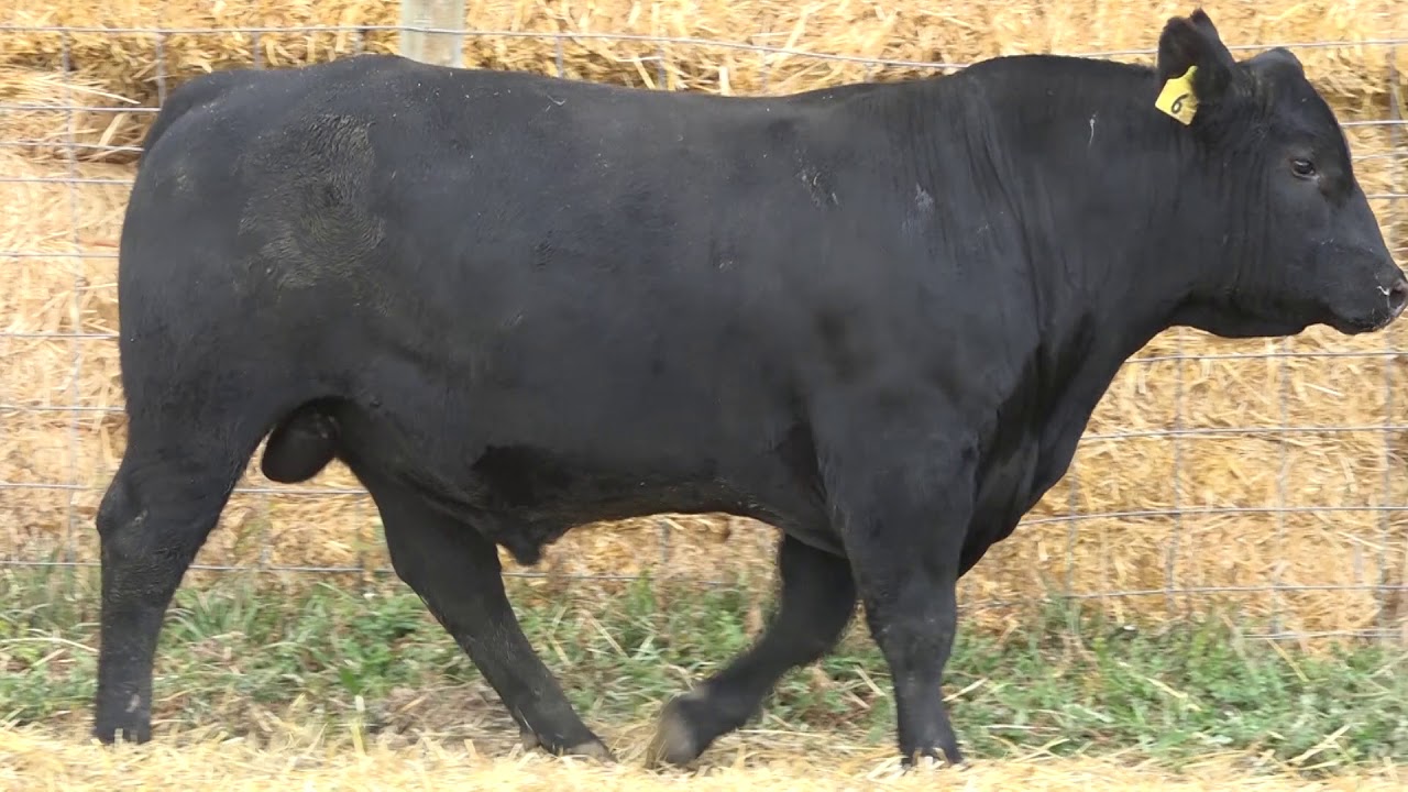 camera iphone 8 plus apk LOT 6