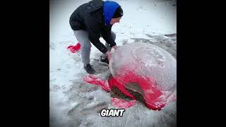 He Froze it Overnight