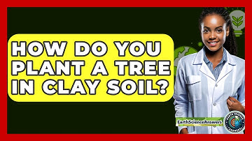 How Do You Plant A Tree In Clay Soil? - Earth Science Answers