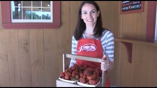 Strawberries at Parlee Farm