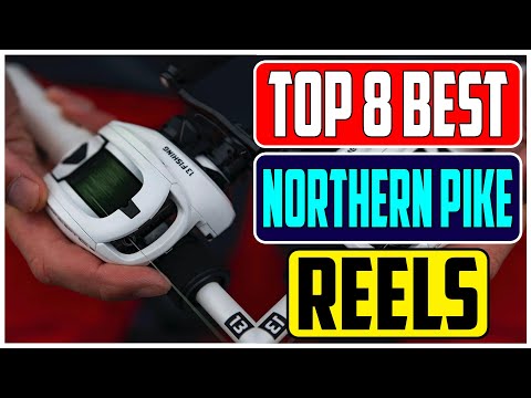 Unleash the Beast Top 8 Best Baitcasting Reels for Northern Pike