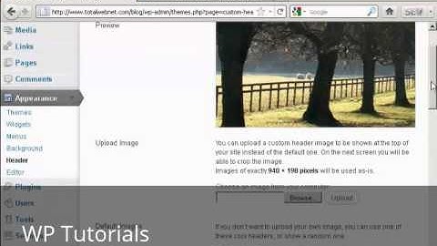 Video 12   Customize Theme Menu in WordPress Blog