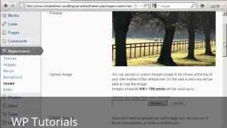 Video 12   Customize Theme Menu in WordPress Blog