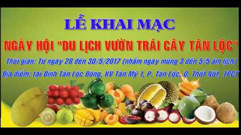 LỄ HỘI TRÁI CÂY TÂN LỘC 2017