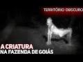 A CRIATURA NA FAZENDA DE GOIÁS. (GRITOS NA NOITE)