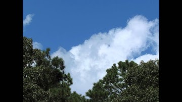 Time-lapse stills from a Powershot Canon SX30IS Camera(HD)