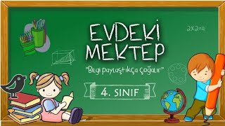 4. Sınıf Matematik. 3.Canlı Ders Örüntü