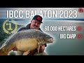 The world biggest carp competition  team trakker  ibcc 2023 balaton