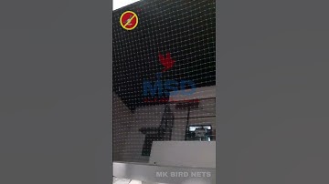 Best Residential Bird Netting Service in Sector-16 Gurgaon #msdinvisiblegrill