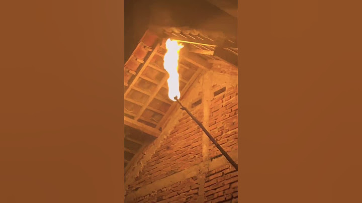 Bakar rumah tawon