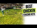 3 BEST Chicken Fencing Kits on Amazon