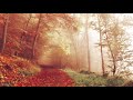 🎵 Sublime gracia - instrumental cristiana  🎶  [Music Free] - Adoración