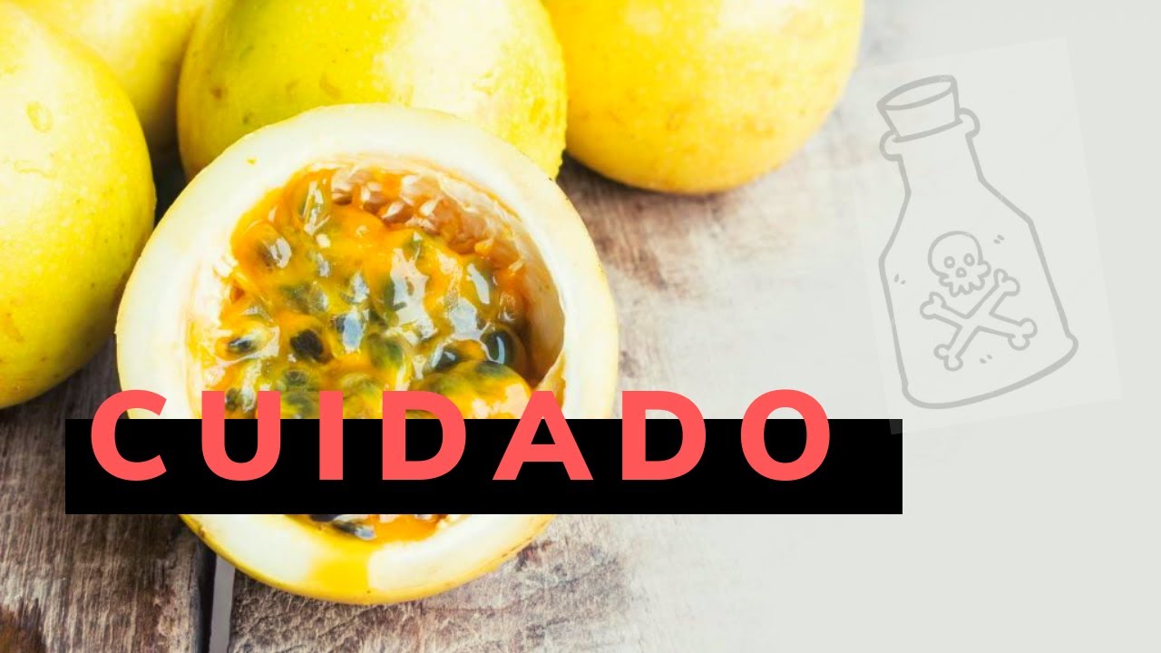 Pode Comer Sementes De Maracujá - BRUNIV