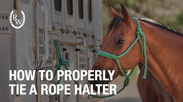 How to Tie, Fit, and Adjust a Rope Halter
