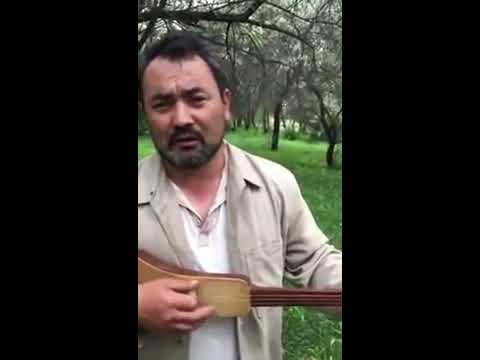 кыргызча ырлар азиза айнура роза шат кундор кыргызча ырлар азиза айнура роза шат кундор