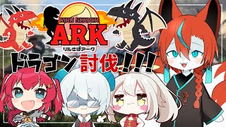 【#Arkリル鯖 】メガピテβとドラゴンγにのりこめー！コラボ！🦊✨【#Vtuber/伯道リル】