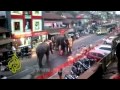 Elephant attack in kizhisseri town