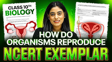 How DO Organisms Reproduce ✨ | NCERT Exemplar | Class 10th