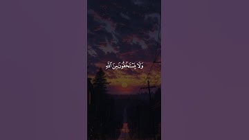 اكتب شيء تؤجر عليه 😴🩶 / القارئ ياسر الدوسري | قران كريم