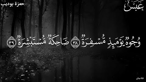 حالات واتس اب دينيه❤️ ستوريات انستا ❤️ القارئ حمزه بوديب ❤️