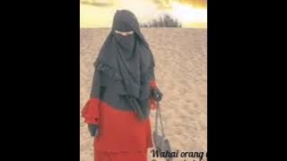 Albi nadak-farez