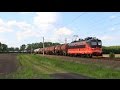 Eisenbahn in Tschechien | Bunter Verkehr in Lanzhot