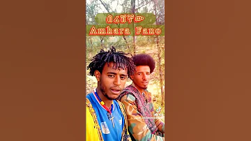 ምርጥ የፋኖ ሙዚቃ Best Fano Music 