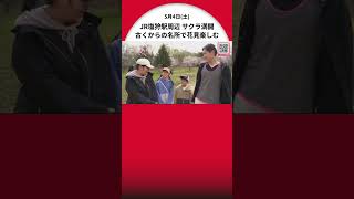 知る人ぞ知るお花見スポット JR塩狩駅周辺 サクラ満開 古くからの名所で花見楽しむ 北海道・上川の和寒町