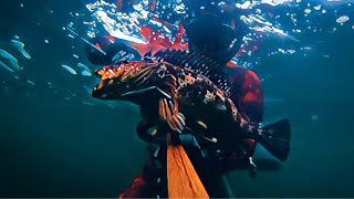 Spearfishing CATCH and COOK on Vancouver Island - LINGCOD, ROCKFISH, GREENLING (Freediving Canada)
