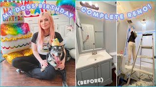 Full Bathroom Renovation, Dog Bday Party & More VLOG