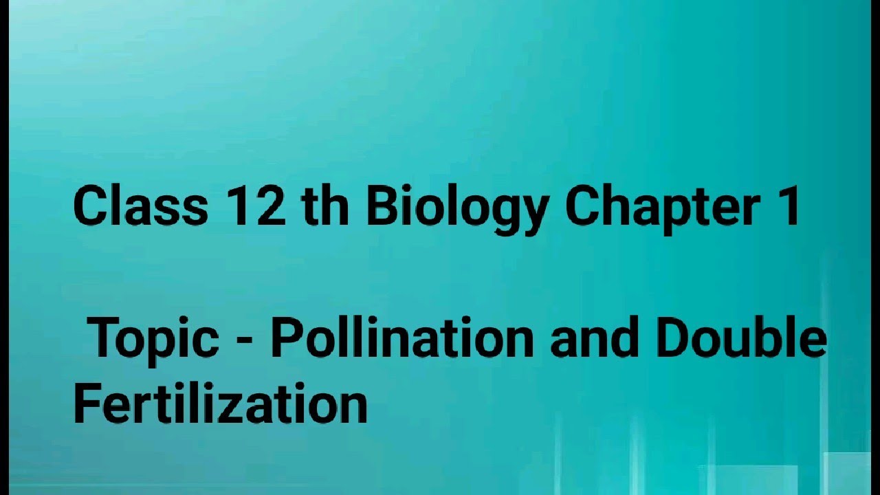 Class 12 Biology Chapter 1topic Double Fertilization Youtube