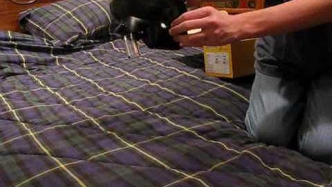 Viewloader Evlution 3 Drop Test and Shooting