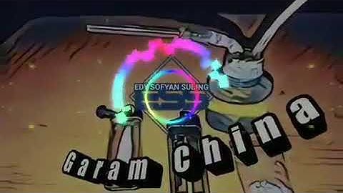Garam cina