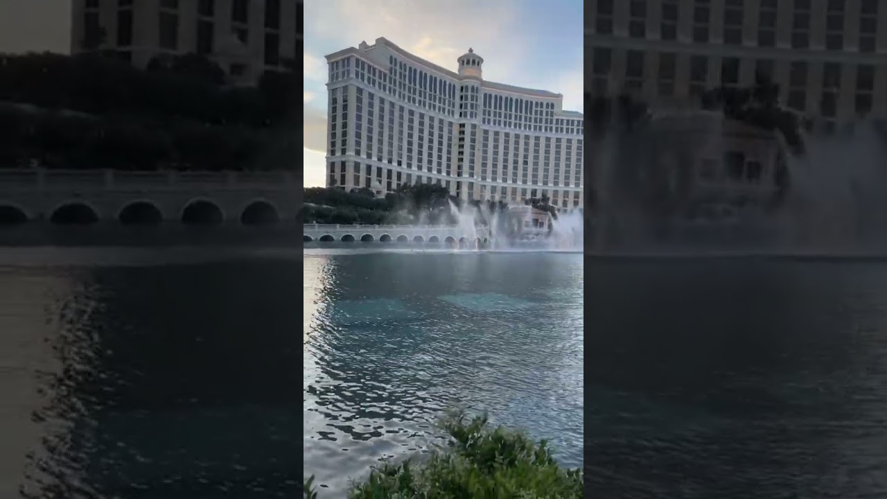 "I need to escape the complexities of life, I need to borrow a day of childhood."