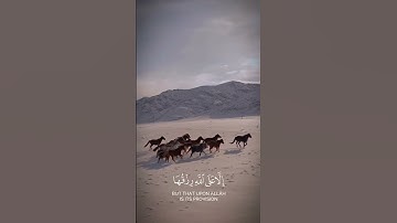 تلاوة رائعه للشيخ إدريس أبكر #القرآن_الكريم #ادريس_ابكر #قرآن #تلاوات #اكسبلور #ياسر_الدوسري