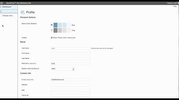 Redirect Wordpress Users After They login Away From Admin Page