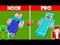 NOOB vs PRO: SECRET MAZE BUILD CHALLENGE