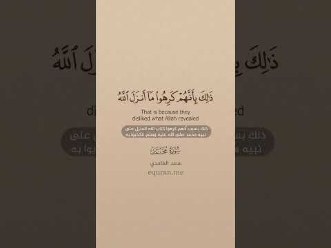 سورة محمد 7 11 الشيخ سعد الغامدي علي اكسبلور المصحف علي اكسبلور المصحف 