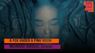 A FOX UNDER A PINK MOON | Film Talk | DOK.fest 2026