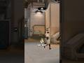 you’re playing this map WRONG #valorant