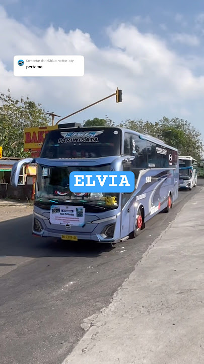 Basuri maumere 6not🤩 #busmania #basuribussid #automobile #mobilbasuri #telolet #basuri #shorts