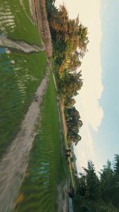 DJI Avata 2 Sawah Siantar