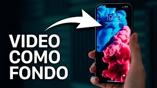 Cómo poner un VIDEO como FONDO DE PANTALLA en iPhone (2022) - thptnganamst.edu.vn